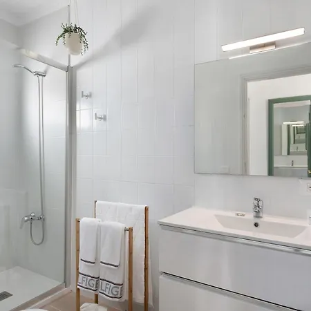 Alisios Del Patron * プラヤ・オンダ